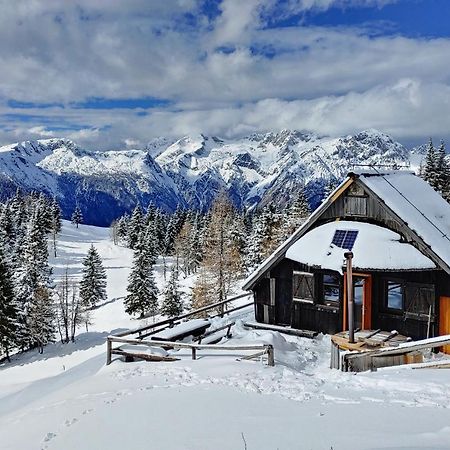 Chalet Zlatica Velika Planina Villa Stahovica Exterior foto