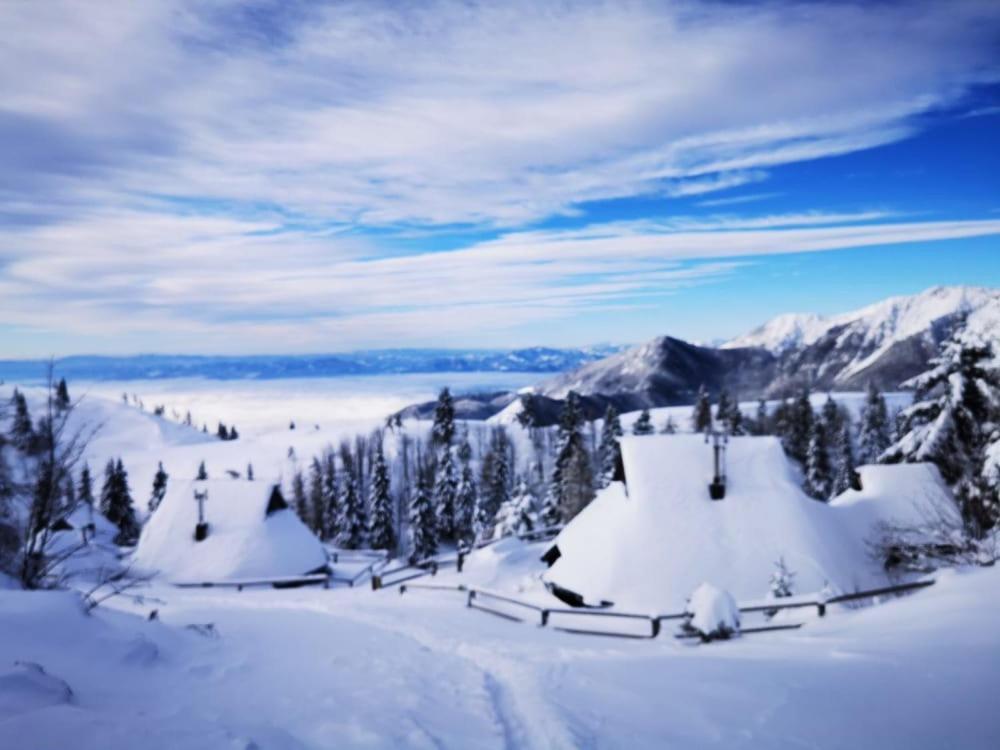 Chalet Zlatica Velika Planina Villa Stahovica Exterior foto