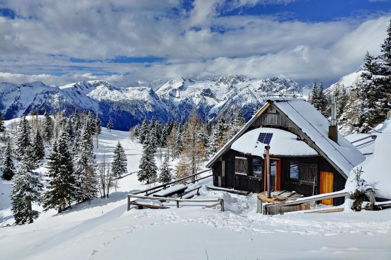Chalet Zlatica Velika Planina Stahovica Exterior foto
