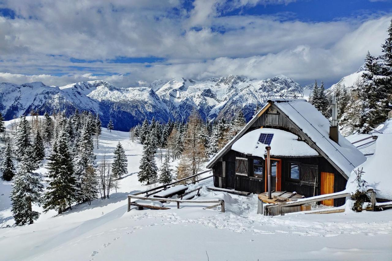 Chalet Zlatica Velika Planina Villa Stahovica Exterior foto