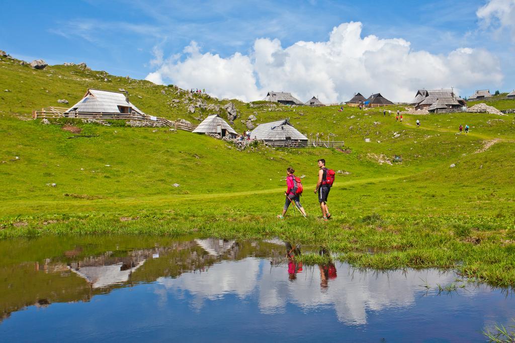 Chalet Zlatica Velika Planina Villa Stahovica Exterior foto