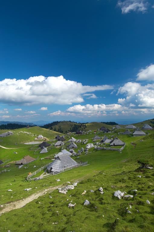 Chalet Zlatica Velika Planina Stahovica Exterior foto