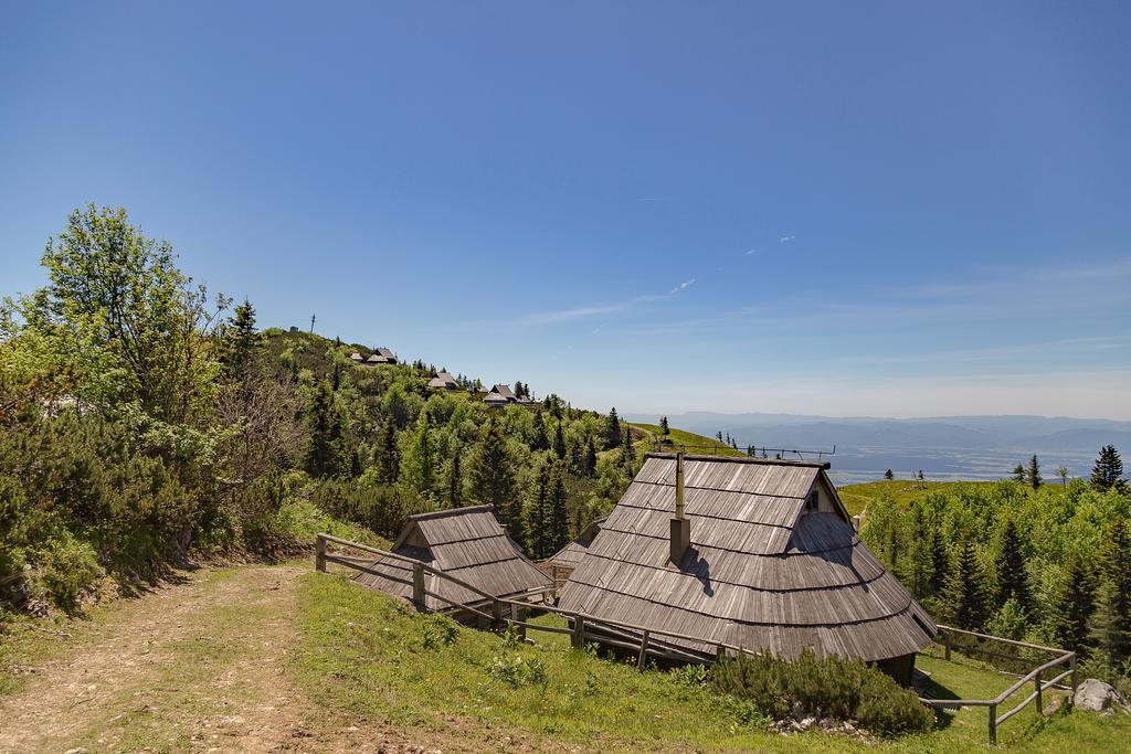 Chalet Zlatica Velika Planina Villa Stahovica Exterior foto